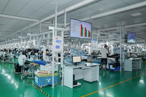 李婷 又要保就業又要數字化,服裝產業升級難在哪里